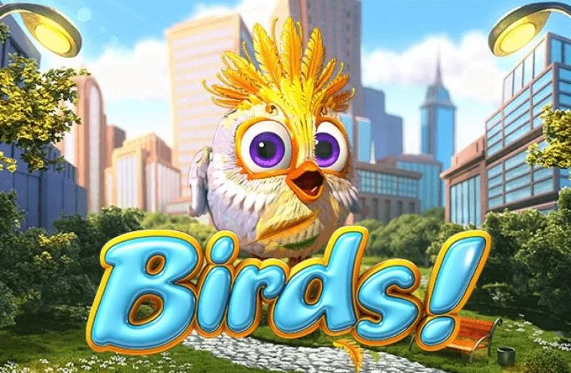 Birds 3 web 3 PG STAR 777 .com เว็บตรง สล็อต PG อันดับ 1 ฝากถอนออโต้ มั่นคง ปลอดภัย
