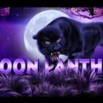 เจาะลึกกลยุทธ์สล็อต Panther Moon บนระบบ สล็อต easy วิเคราะห์ค่าสถิติและสูตรปั้นพอร์ตระดับเซียน 3 Panther Moon 3 web 3 PG STAR 777 .com เว็บตรง สล็อต PG อันดับ 1 ฝากถอนออโต้ มั่นคง ปลอดภัย