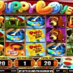 Puppy Love 9 PG STAR 777 .com เว็บตรง สล็อต PG อันดับ 1 ฝากถอนออโต้ มั่นคง ปลอดภัย
