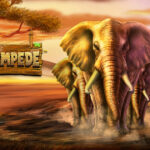 Stampede 3 PG STAR 777 .com เว็บตรง สล็อต PG อันดับ 1 ฝากถอนออโต้ มั่นคง ปลอดภัย